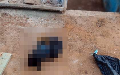 Prefeitura tenta identificar pessoa que descartou corpo de pet em ecoponto