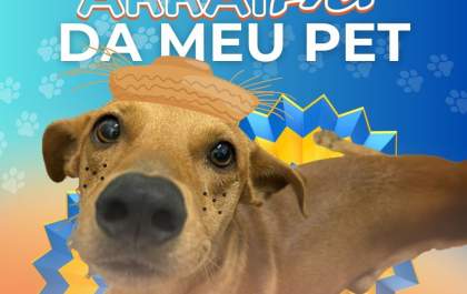 Clínica Meu Pet promove “Arraiau” com diversão para tutores e pets