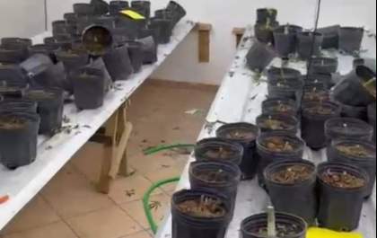 Polícia Civil investiga possível furto de energia em casa alugada para ser ‘laboratório’ de drogas