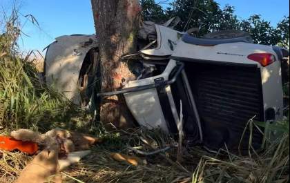 Três morrem e uma mulher sobrevive após caminhonete colidir com árvore em MS