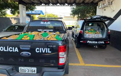 Tonelada de drogas é incinerada pela Polícia Civil em Três Lagoas