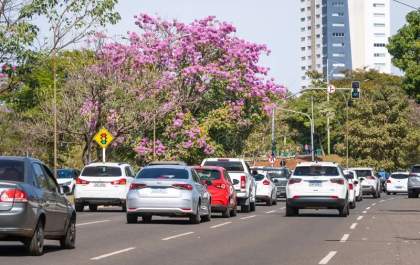Prazo para licenciamento de placas com Final 6 em MS termina em 31 de julho