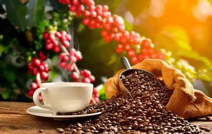 Tarifaço ameaça exportações brasileiras de suco, café, carne e frutas