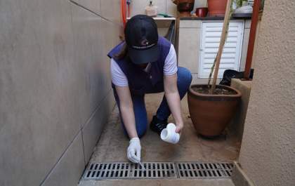 Notificações de casos positivos de dengue caem 97,6%