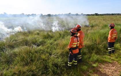 Governo de MS vai suspender queima controlada diante de alerta de seca e altas temperaturas