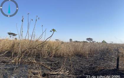 Posseiro é multado em mais de R$ 25 mil por queimada acidental no Assentamento Estrela da Ilha