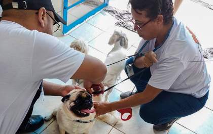 Saúde de Araçatuba inicia terceiro ciclo da campanha contra a leishmaniose