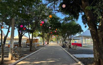 TUA oferece linha gratuita para a Festa das Ações