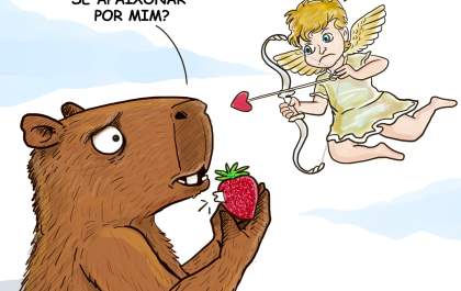 Morango da discórdia
