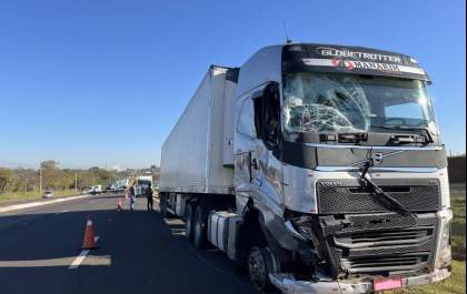 Motorista morre após van carregada com morangos ser prensada entre caminhões