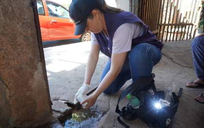 Avanço da chikungunya leva a Secretaria de Saúde de Araçatuba a promover força-tarefa na zona leste