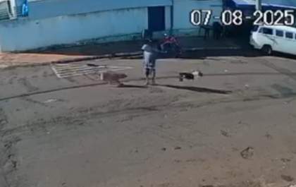 Idoso sofre traumatismo craniano ao ser derrubado por cão solto na rua