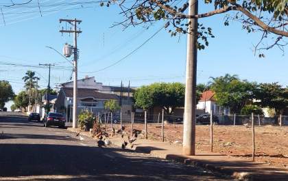 Galinhas causam transtornos nas ruas de Andradina e autoridades não tomam providências