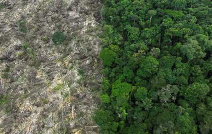 Brasil perdeu 111,7 milhões de hectares de áreas naturais em 40 anos, mostra MapBioma