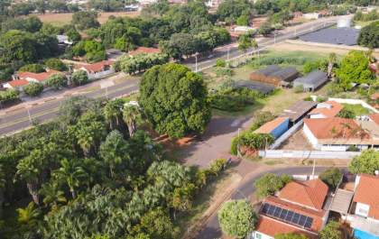 Viveiro vai abrir em horário especial para doação de mudas em Três Lagoas