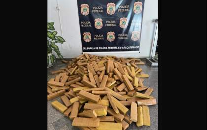 Homem é preso com mais de 400 quilos de maconha em ação da PF com a Rodoviária
