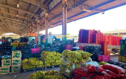 MS registra crescimento de 18,78% no volume de produtos comercializados na Ceasa-MS