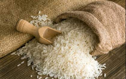 Conab destina R$ 300 milhões para produtores de arroz da safra 2025/26