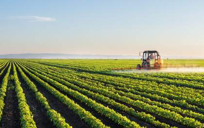 Agropecuária cresce 10,1% no segundo trimestre e impulsiona PIB brasileiro