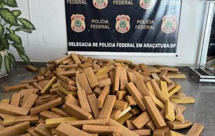 FICCO/SP apreende mais de 410 kg de maconha em Andradina/SP