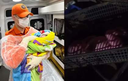 Recém-nascido é encontrado abandonado em caixa de frutas em MS