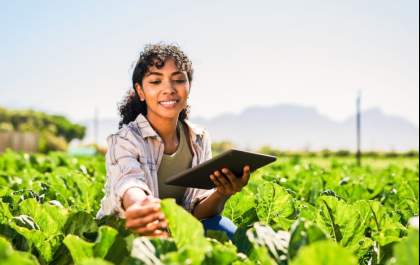 O impacto da nova lei ambiental sobre pequenos agricultores na nossa região