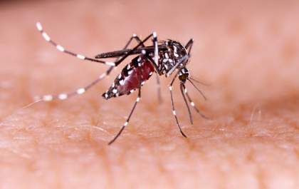 Vítimas do Zika podem ser indenizadas ainda em setembro, diz ministro