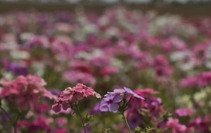 Primavera começa com chegada de frente fria, temporais e fortes ventos