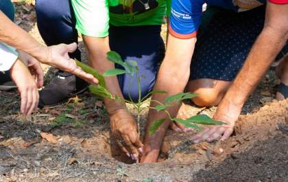 Três Lagoas inicia Semana da Árvore com plantio de mudas e ações educativas