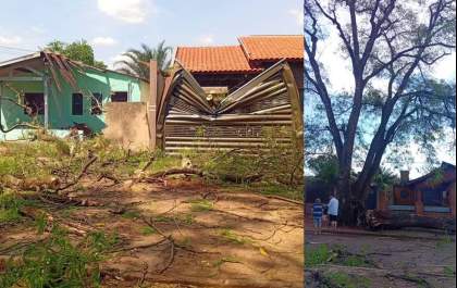Vendaval causa quedas de árvores e danos em casas em Dourados