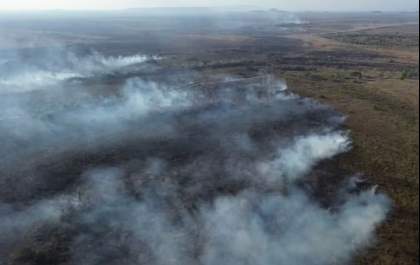 Incêndio na região do Forte Coimbra volta a atingir área no Pantanal