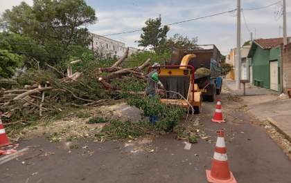 Prefeitura intensifica limpeza após vendaval em Araçatuba