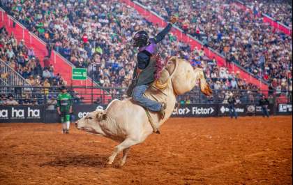 Expô Araçatuba recebe 20 competidores para etapa do Campeonato Brasileiro da PBR