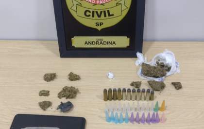 DISE de Andradina prende em flagrante suspeito pelo crime de tráfico de drogas e posse de munições