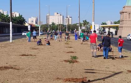 Avenida dos Araçás deve ganhar bosques com plantio de ipês