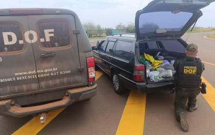 DOF apreende quase 60 quilos de drogas que seriam entregues em Curitiba PR
