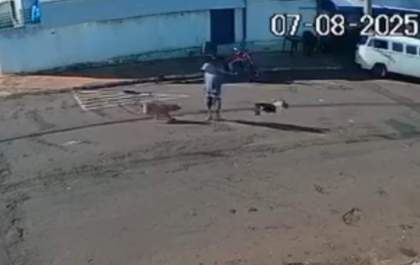 Idoso derrubado por cão solto na rua em Piacatu fica tetraplégico