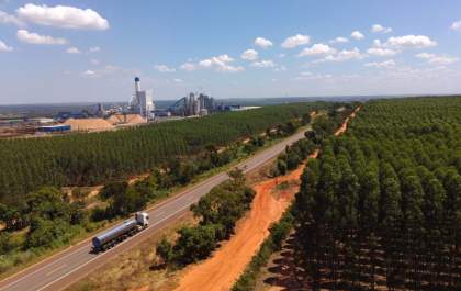 Celeiro para o mundo: Mato Grosso do Sul se consolida como potência exportadora e referência em sustentabilidade