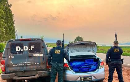 DOF intercepta veículo com mais de 410 quilos de maconha em MS