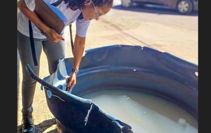 Índice de infestação do Aedes aegypti volta a cair, mas Araçatuba segue em estado de alerta