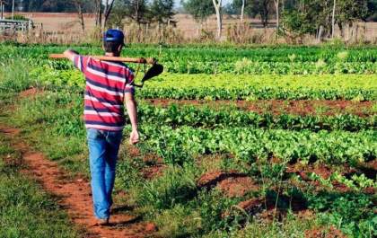 Programa Desenrola Rural renegocia R$ 12 bilhões em dívidas de agricultores familiares