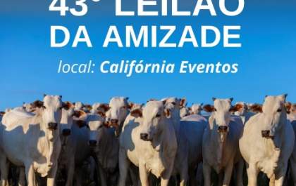 Leilão da Amizade da Apae será no próximo dia 24