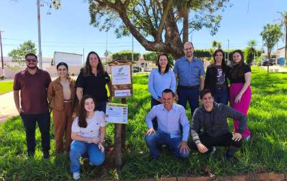 Monte Castelo recebe colônias de abelhas sem ferrão em ação ambiental da Usina Ipê