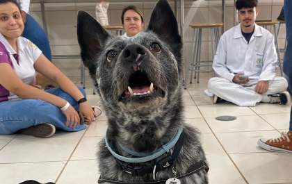 Unisalesiano realiza 1º Workshop de Biomecânica e Reabilitação em Equinos e Pequenos Animais