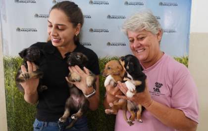 CCZ de Araçatuba recolhe 279 pets em 9 meses