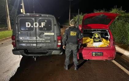 DOF apreende 282 quilos de maconha que seriam levados para Minas Gerais