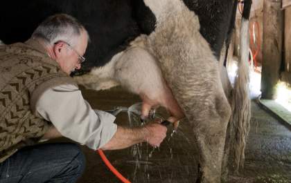Produtores de leite de Araçatuba terão evento sobre crédito e gestão rural