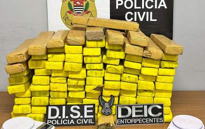 Mulher é presa por manter 75,9 quilos de maconha em casa