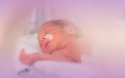 Mês da prematuridade evidencia importância do cuidado especializado e do acolhimento