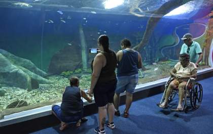 Bioparque Pantanal recebe selo internacional “Ouro” por sustentabilidade